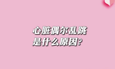 【名醫(yī)面對(duì)面之心臟100問(wèn)】心臟偶爾亂跳是什么原因？