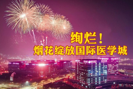 絢爛！煙花綻放國際醫(yī)學城